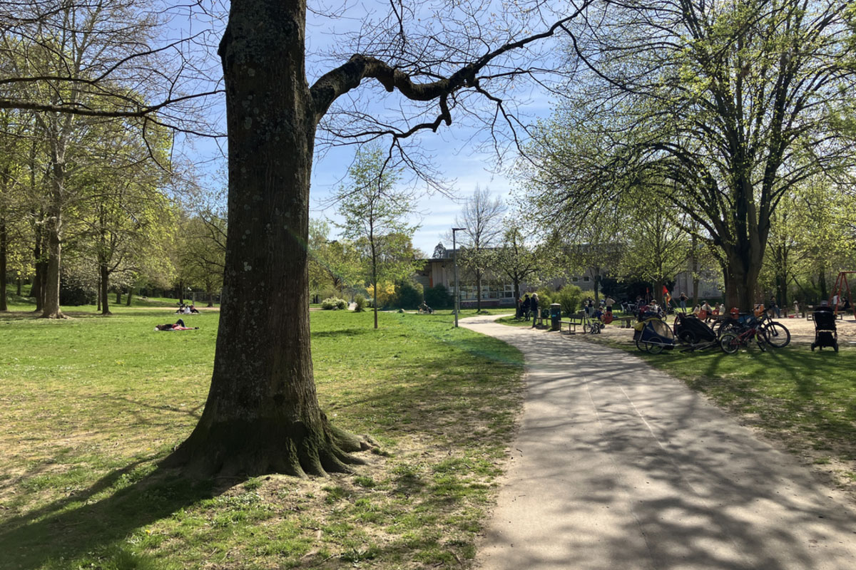 Zähringer Park Park mit grüner Wiese, Bäumen und Weg