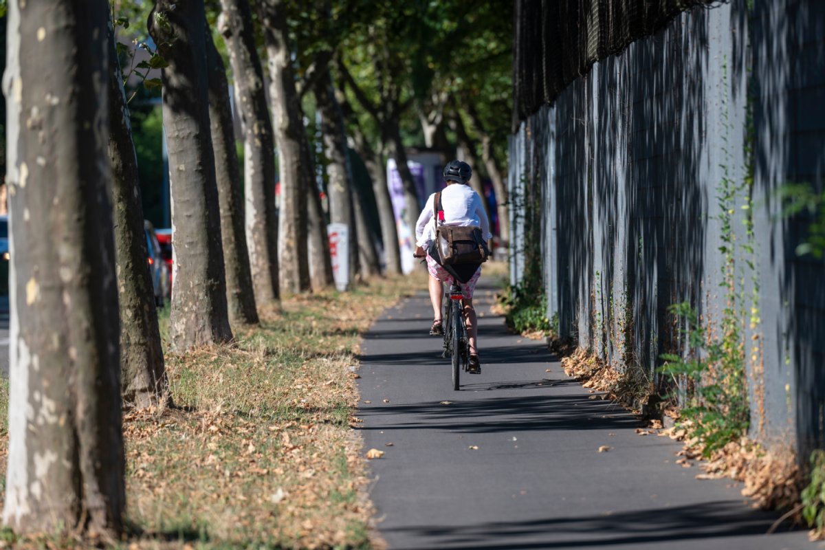 In einer Allee fährt jemand Fahrrad