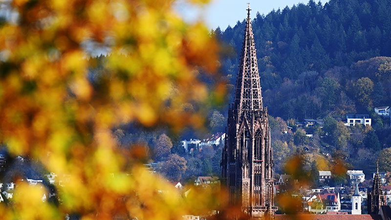 Münsteransicht mit Herbstlaub im Vordergrund