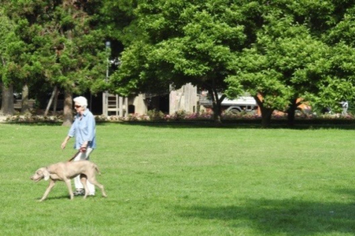 Frau mit Hund auf großer Wiese 