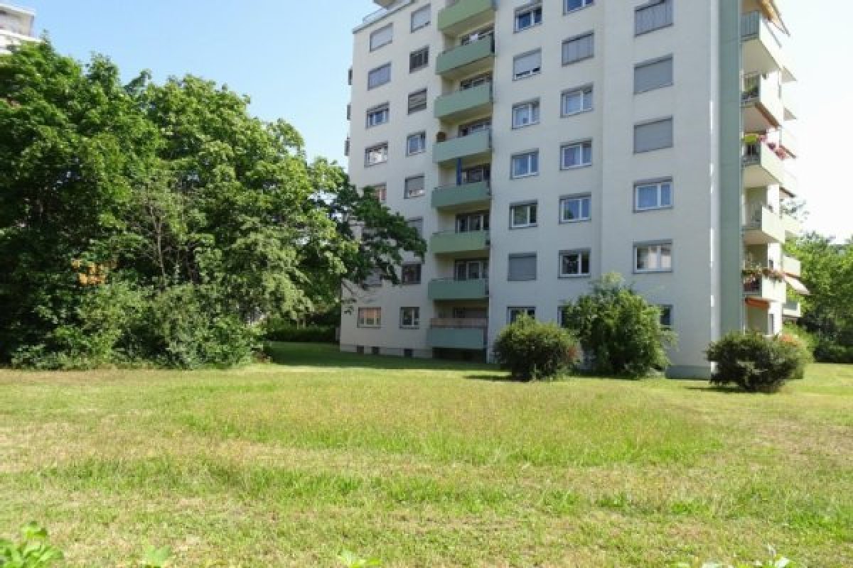 große Wiese mit Büschen , Bäumen und 8 geschossigem Hochhaus