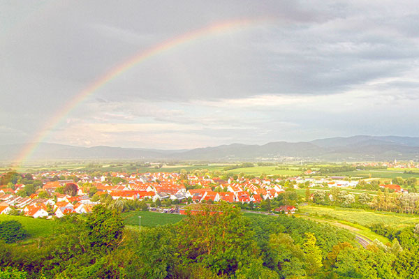 Munzingen