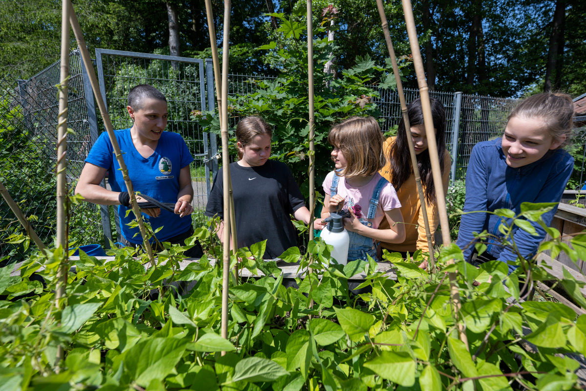 Eine Gruppe Kinder beim Gießen eines Hochbeets