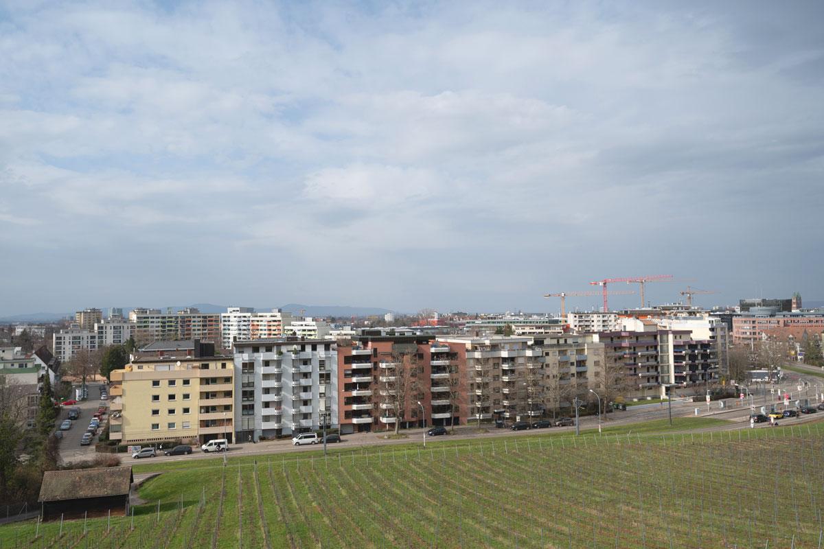Lange gerade Straße, dahinter Häuser, davor Rebfläche