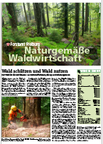 Naturgemäße Waldwirtschaft im Stadtwald
