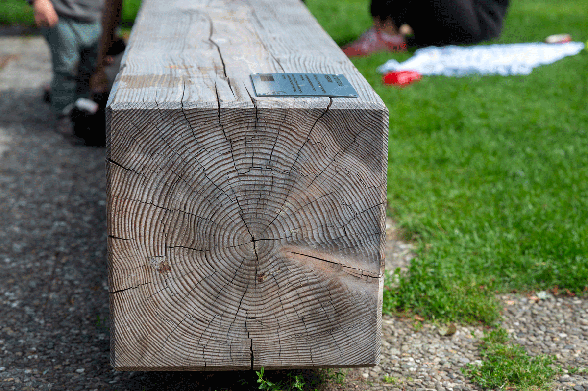 Holzbank neben Wiese