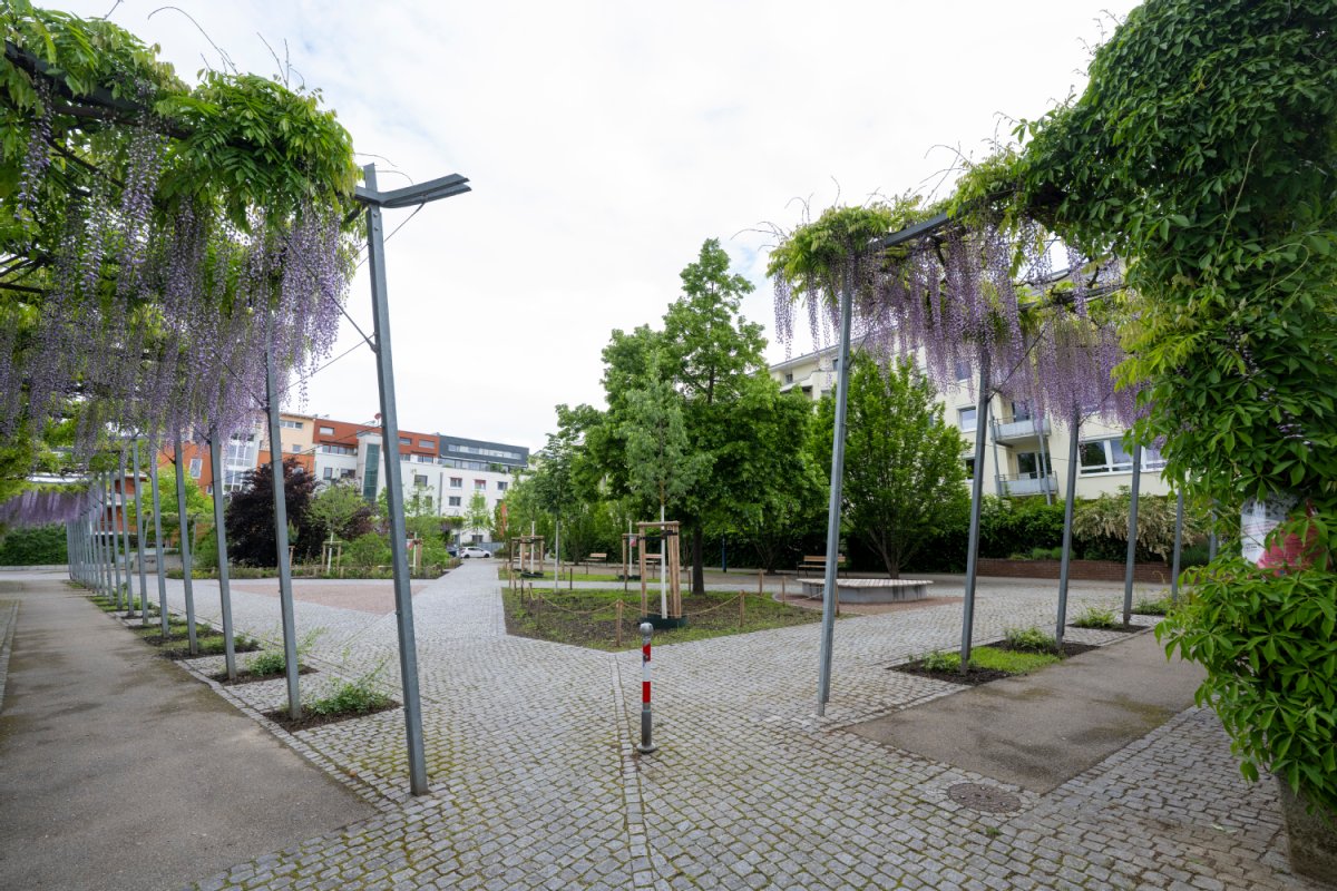 Der umgebaute Mathilde-Otto-Platz in Rieselfeld. Links und rechts sind hängende Gärten, in der Mitte ein großer Baum.