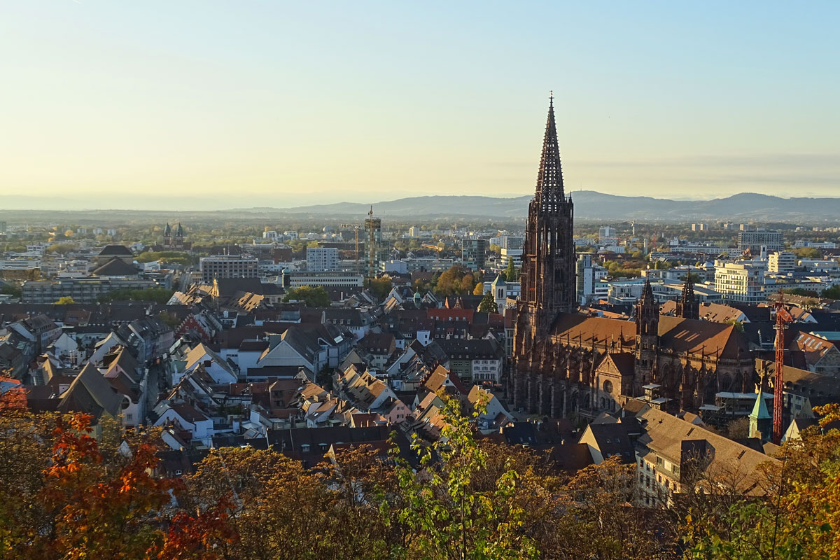 Blick auf Freiburg mit dem Münster