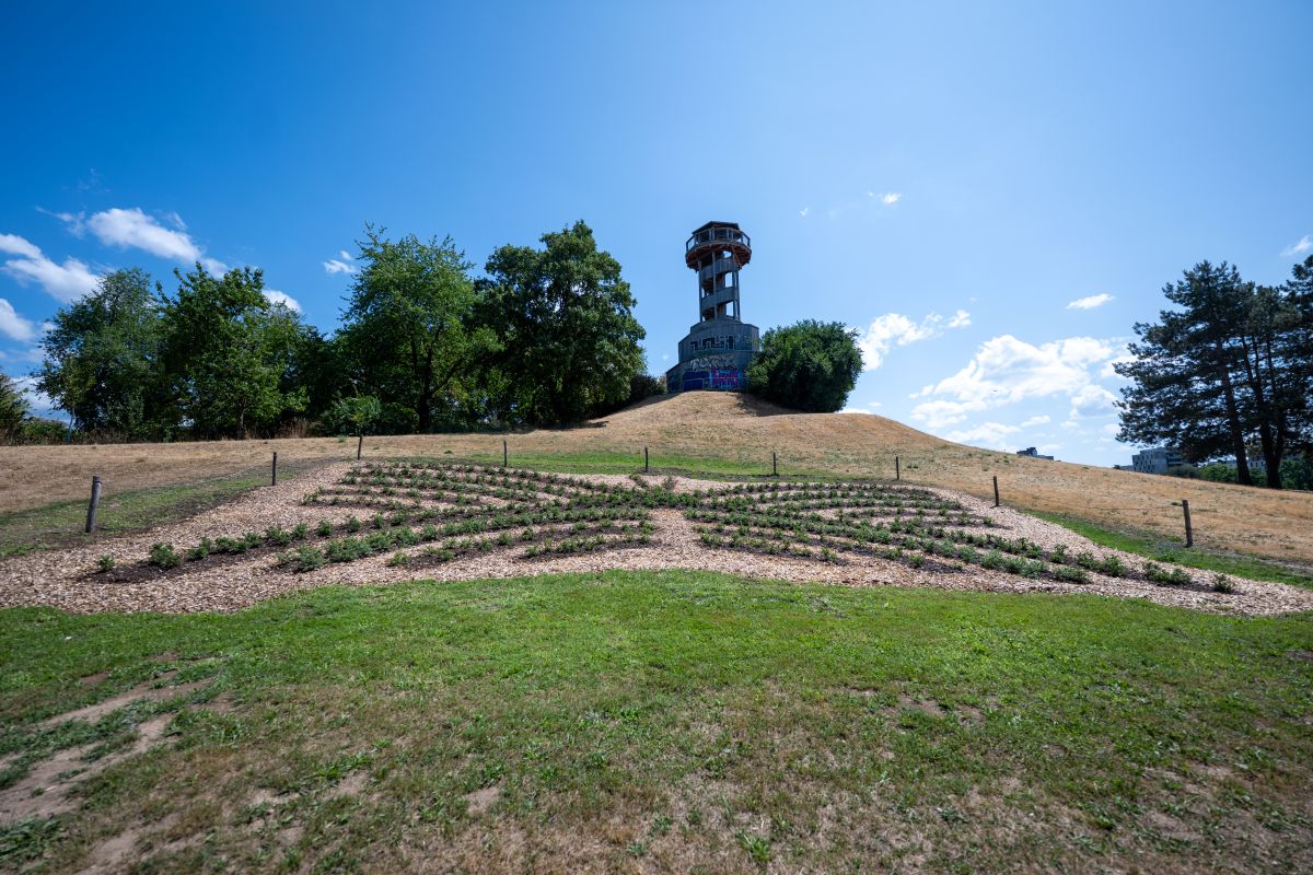 Blumen, gepflanzt in Form eines Schmetterlings, am Hang unterhalb des Seeparkturms