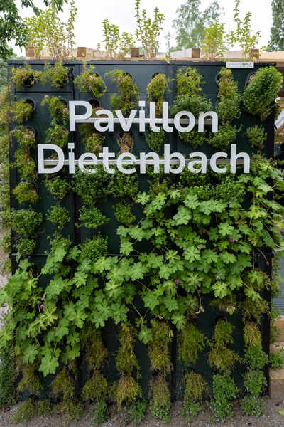 Pflanzenwand