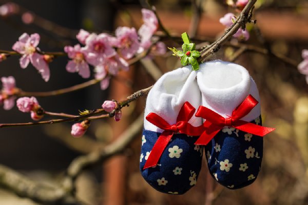(Foto: maggeee/istockphoto.com)